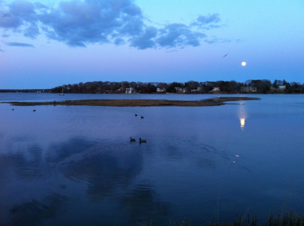 The moon rises over the lagoon in Vineyard Haven on Martha's Vineyard